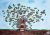 Sossai Albero