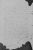 ICA- Inventario, Imagem 5