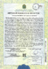 Birth Record, Edson Altoé